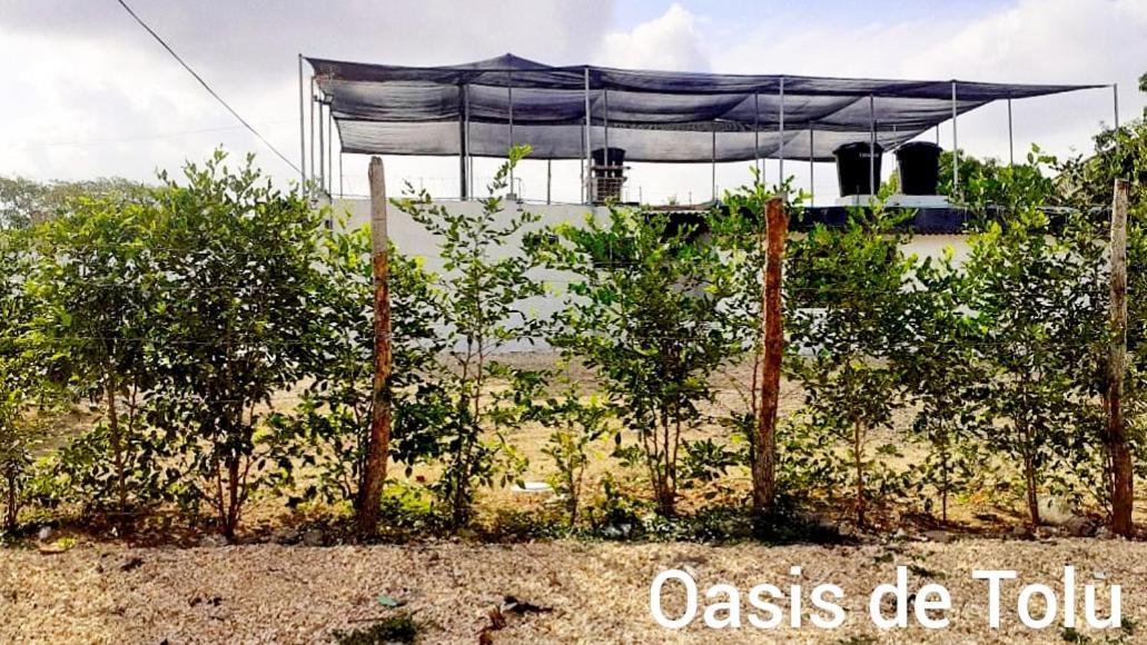 Oasis De Tolu Ξενοδοχείο Εξωτερικό φωτογραφία