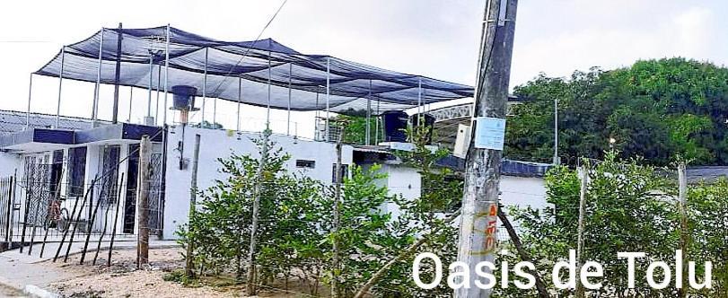 Oasis De Tolu Ξενοδοχείο Εξωτερικό φωτογραφία